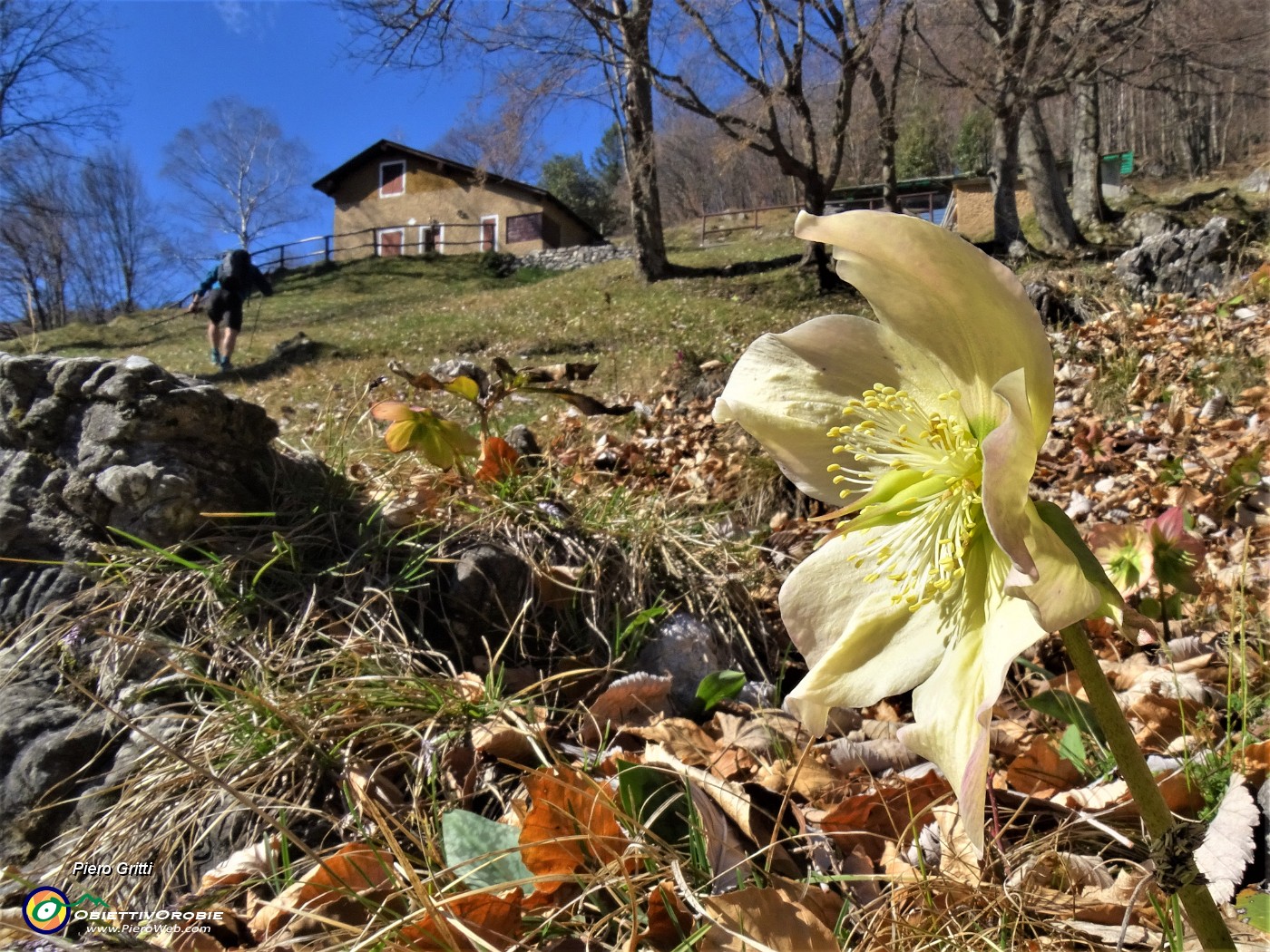 02 Alla bella radura della Baita del Carlo (1300 m) breve tregua poi la salita continua ripida .JPG